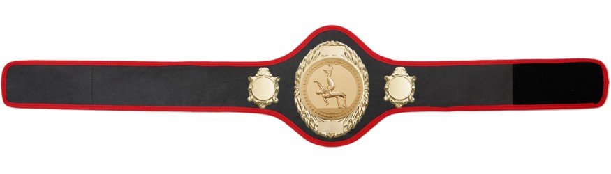 WRESTLING BELT-PRO286/G/WRESTG-10+ COLOURS